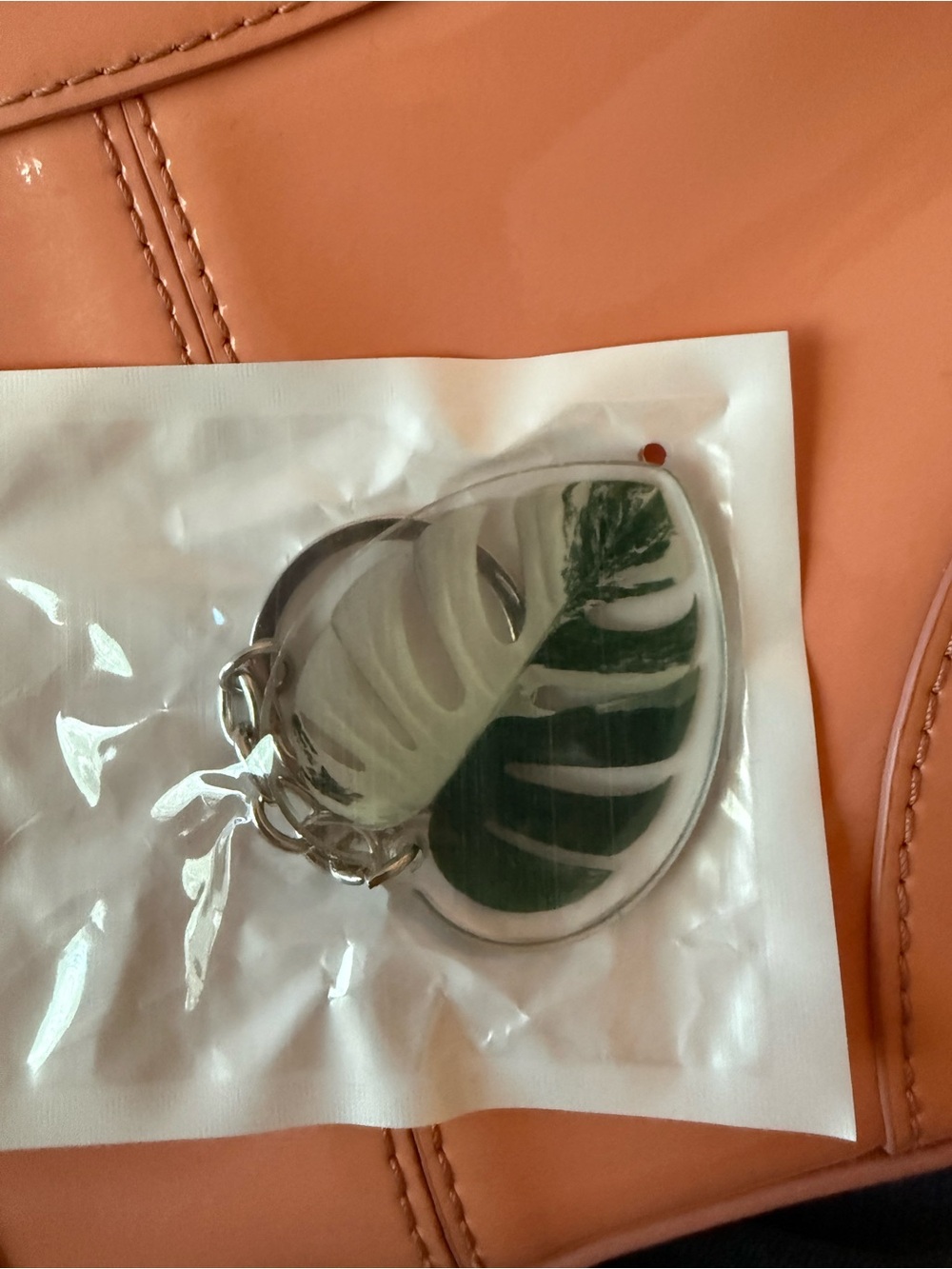 Monstera deliciosa 'Albo Variegata
Keychain - White and Dark Green - NEW! - Picture 2 of 3